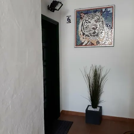 Apartment Maktub *